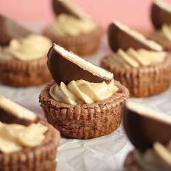 Chocolate Peanut Butter Tag-a-dos