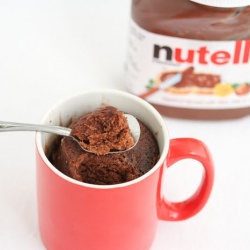 Pure Nutella Mug Cake