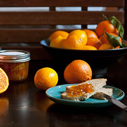Meyer Mandarin Marmalade