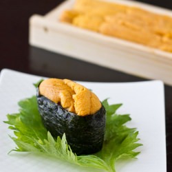 Uni