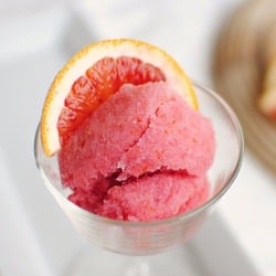 Blood Orange & Honey Sorbet