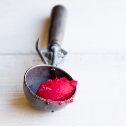Blood Orange Sorbet