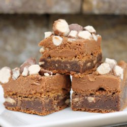 Chocolate Malt Brownies