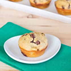PB Banana Chocolate Chip