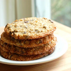 Chocolate Chip Wheat Germ Cookies