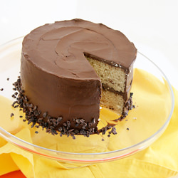Chocolate Frosted Vanilla Cake