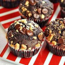 Chocolate Muffins