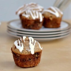 Cinnamon Coffee Cake Muffins