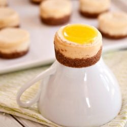 Lemon Goat Cheese Mini Cheesecakes