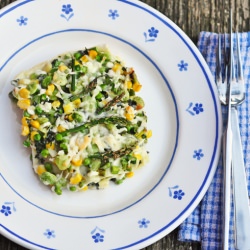 Summer Veggie Lasagne