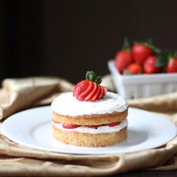 Tres Leches Cake