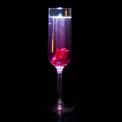 The Sparkling Hibiscus