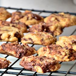 Choco Chip Cookie