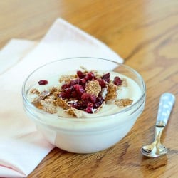 Vegan Whipped Cream Cereal