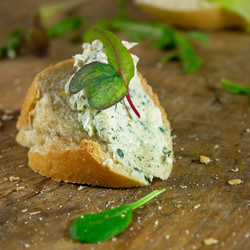 Small Bites Italian Style