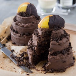 Chocolate Cake w/ Root Liquor