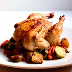 Cornish Hens with Vegetables