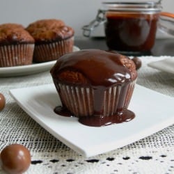 Chocolate Malt Muffins