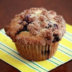 Blueberry Streusel Muffins