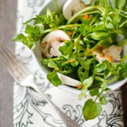 Watercress Mushroom Salad
