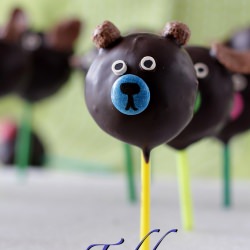 Animal Truffle Pops