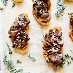 Maikate Mushroom Crostini