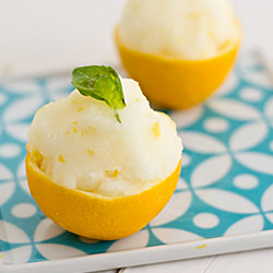 Meyer Lemon & Basil Sorbet