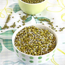 Home Made Sprouts