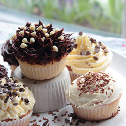 Vanilla Cupcakes