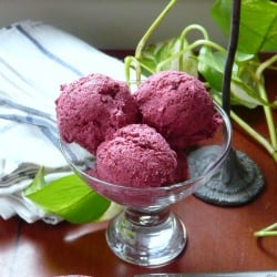Frozen Blackberry Coconut Yogurt