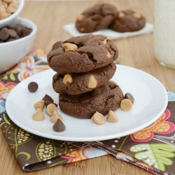Chocolate Peanut Butter Cookies