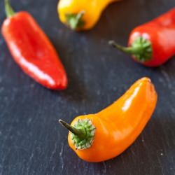 Mini Stuffed Peppers