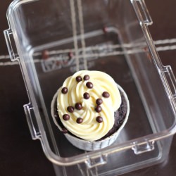 Chocolate Cupcakes