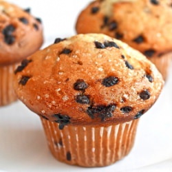 Chocolate Chip Muffins