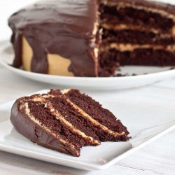 Chocolate Peanut Butter Cake