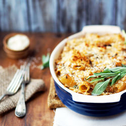 Butternut Squash Rigatoni