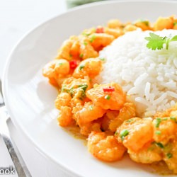 Shrimp