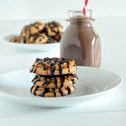 Homemade Samoa Cookies