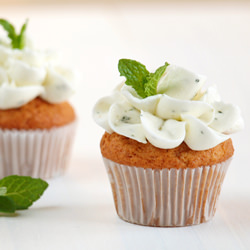 Mini Mojito Cupcakes