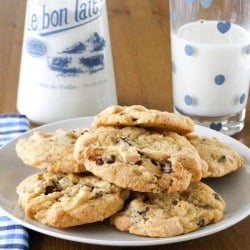 Vegan Double Chocolate Chip Cookies