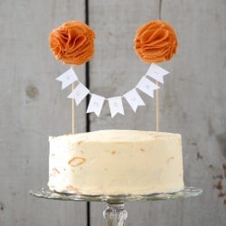 Chocolate Cake with Kumquat