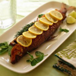 Mahi-Fish