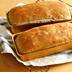 Honey Walnut Bread