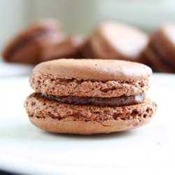 Chocolate Macarons