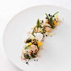 Loup de Mer & Scallop