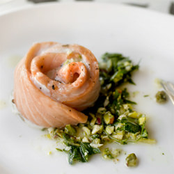 Salmon