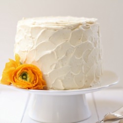 Blood Orange Cake