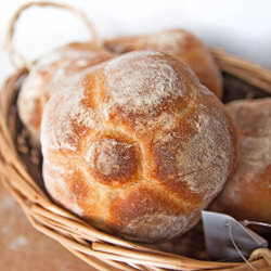 “Rosette” Bread Rolls