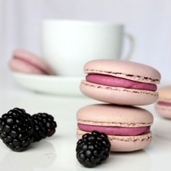 Blackberry Macarons
