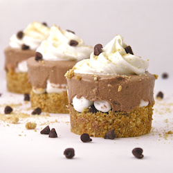 Frosty S’mores Cups